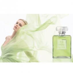 Chanel N19 Chanel N19