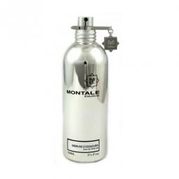 Montale Embruns d'Essaouira Man (Монталь Облачное Небо). Туалетная вода (eau de toilette - edt) мужская / Одеколон (eau de cologne - edc)