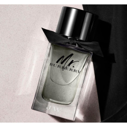 Mr Burberry Mr Burberry