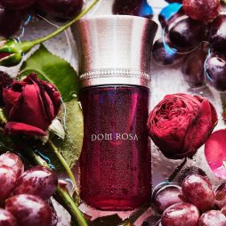 Dom Rosa Les Liquides Imaginaires Dom Rosa Les Liquides Imaginaires