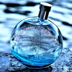 Eau Des Merveilles Bleue Hermes Eau Des Merveilles Bleue Hermes
