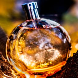 Eau Des Merveilles Hermes Eau Des Merveilles Hermes